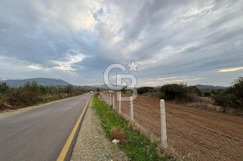 Çanakkale Ezine Yahyaçavus Köyü 4.437 M2 Satılık Tarla !