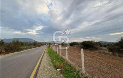 Çanakkale Ezine Yahyaçavus Köyü 4.437 M2 Satılık Tarla !