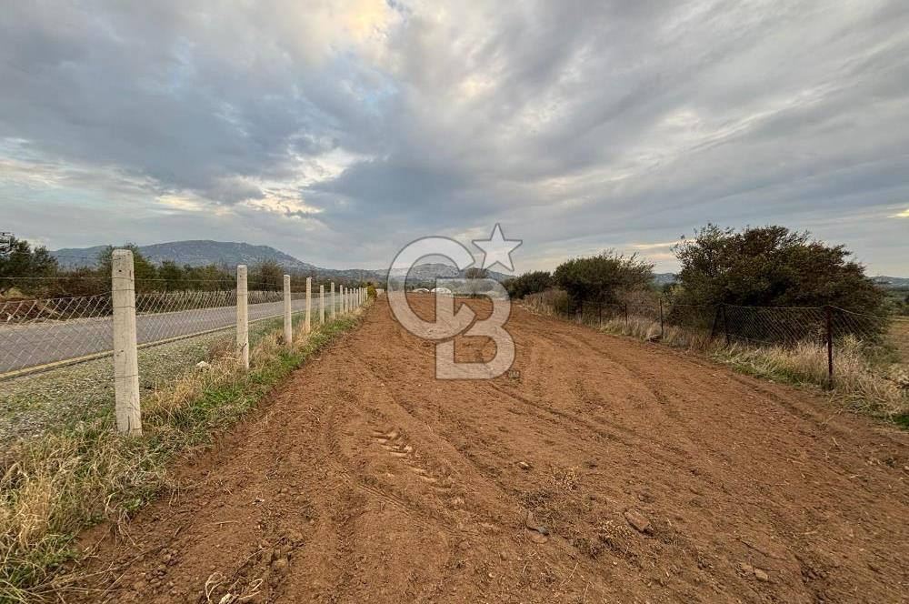 Çanakkale Ezine Yahyaçavus Köyü 4.437 M2 Satılık Tarla !