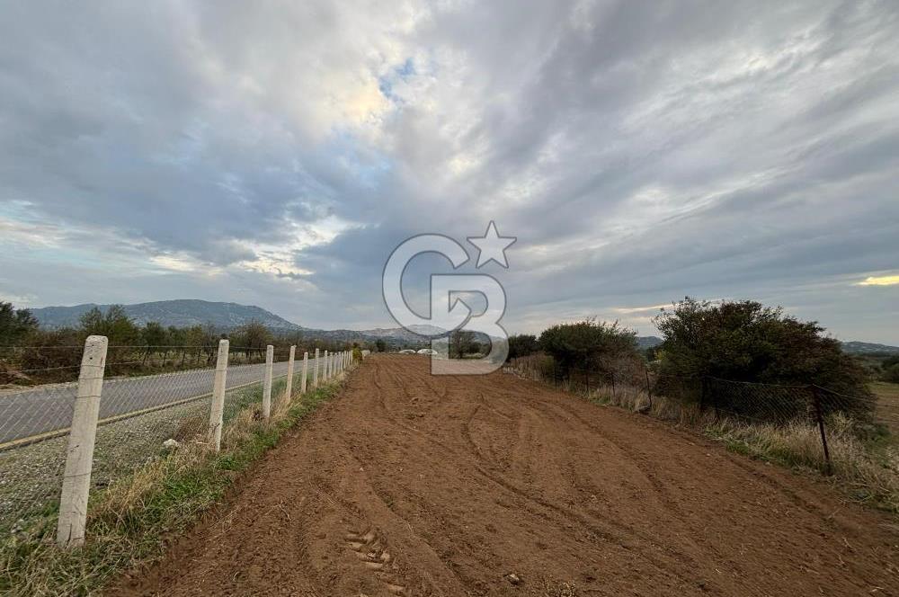 Çanakkale Ezine Yahyaçavus Köyü 4.437 M2 Satılık Tarla !