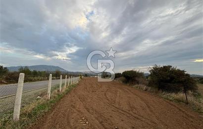 Çanakkale Ezine Yahyaçavus Köyü 4.437 M2 Satılık Tarla !