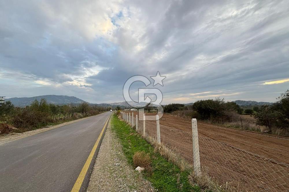 Çanakkale Ezine Yahyaçavus Köyü 4.437 M2 Satılık Tarla !