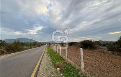 Çanakkale Ezine Yahyaçavus Köyü 4.437 M2 Satılık Tarla !