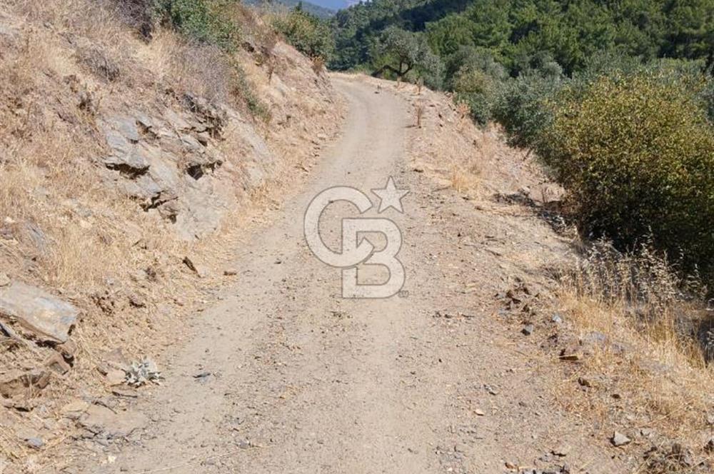 İzmir / Bayındır Kızılcaağaç'ta Satılık Özel Konumlu Bahçe