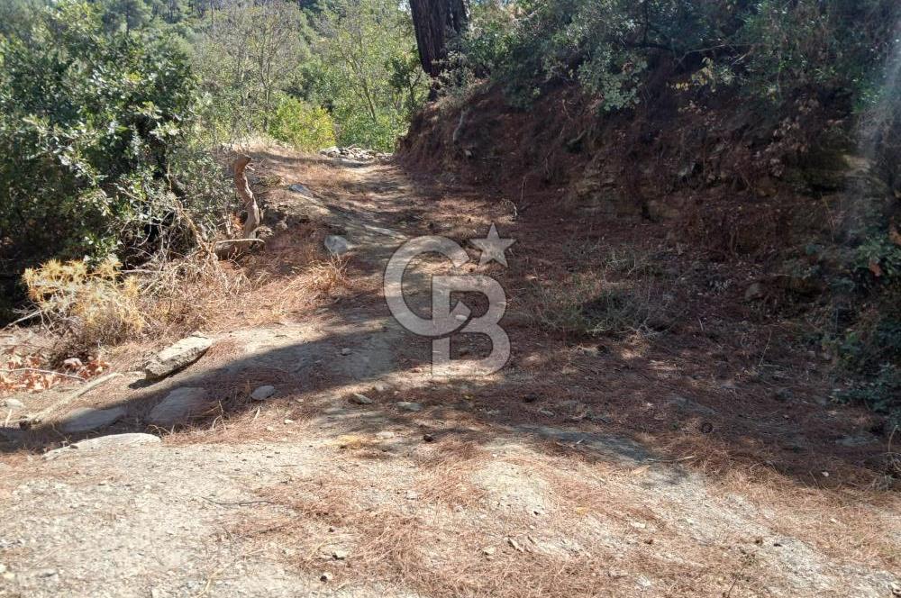 İzmir / Bayındır Kızılcaağaç'ta Satılık Özel Konumlu Bahçe