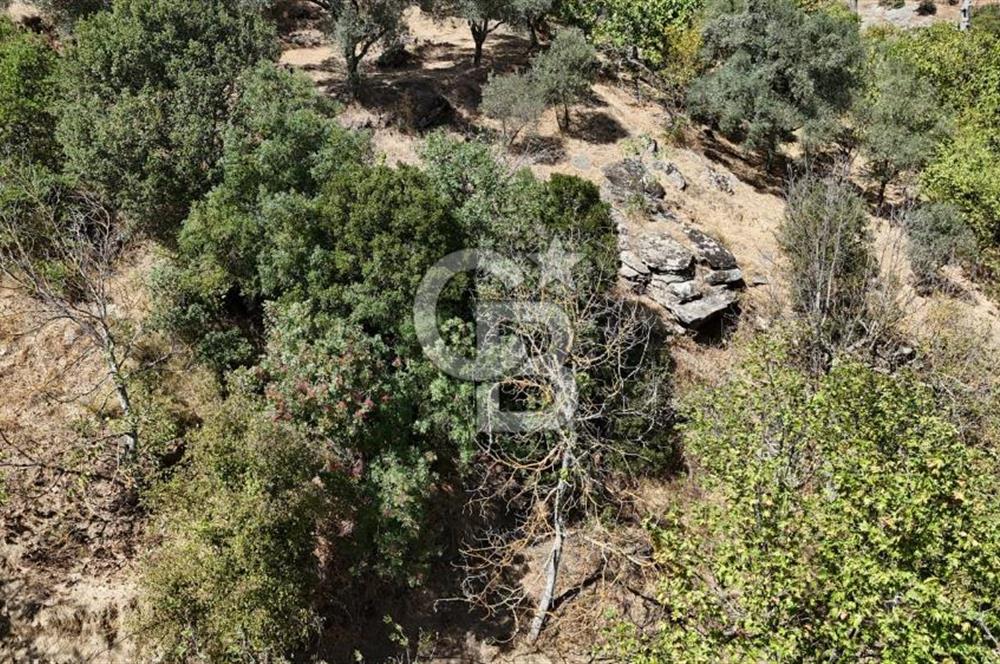İzmir / Bayındır Kızılcaağaç'ta Satılık Özel Konumlu Bahçe