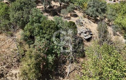 İzmir / Bayındır Kızılcaağaç'ta Satılık Özel Konumlu Bahçe