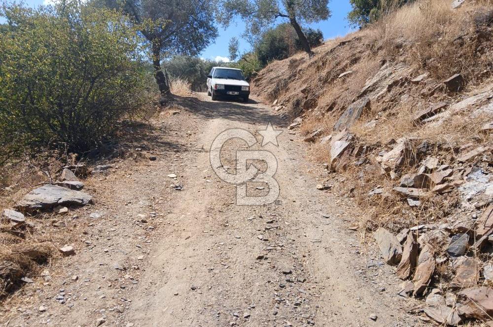 İzmir / Bayındır Kızılcaağaç'ta Satılık Özel Konumlu Bahçe