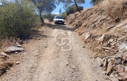 İzmir / Bayındır Kızılcaağaç'ta Satılık Özel Konumlu Bahçe