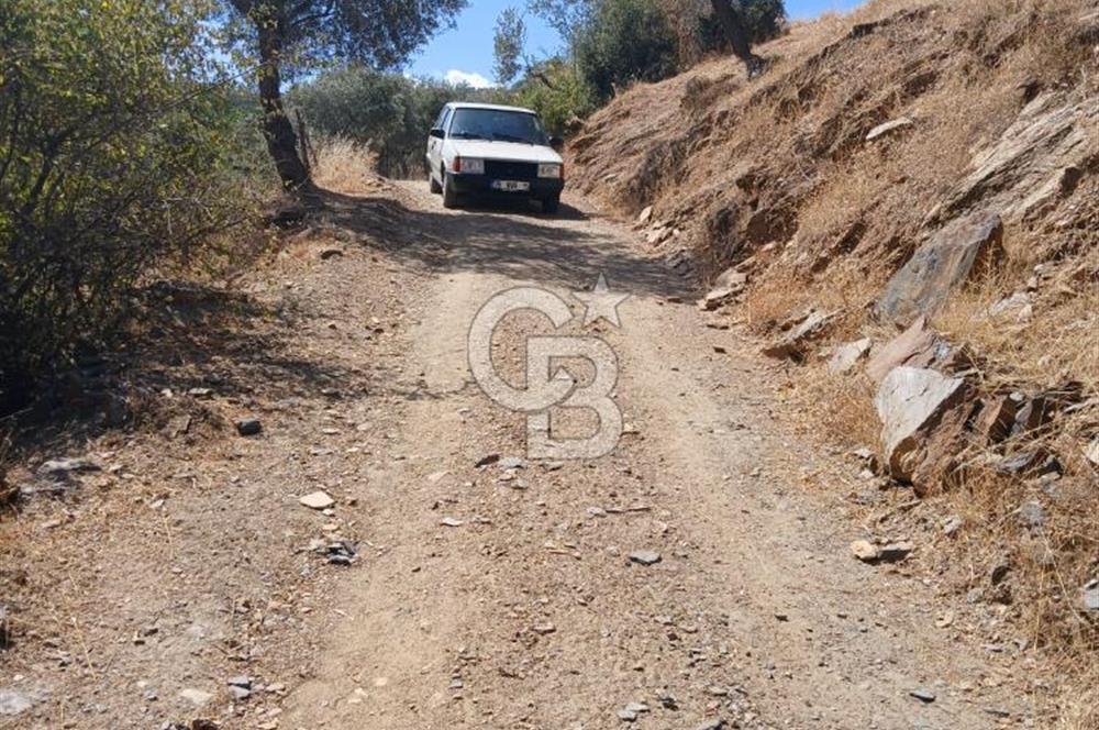 İzmir / Bayındır Kızılcaağaç'ta Satılık Özel Konumlu Bahçe