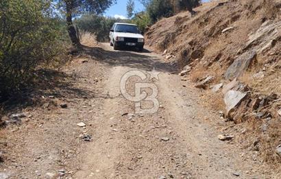 İzmir / Bayındır Kızılcaağaç'ta Satılık Özel Konumlu Bahçe