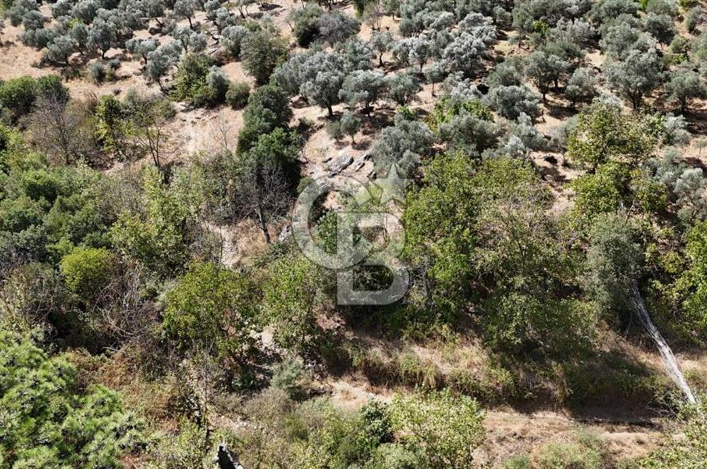 İzmir / Bayındır Kızılcaağaç'ta Satılık Özel Konumlu Bahçe