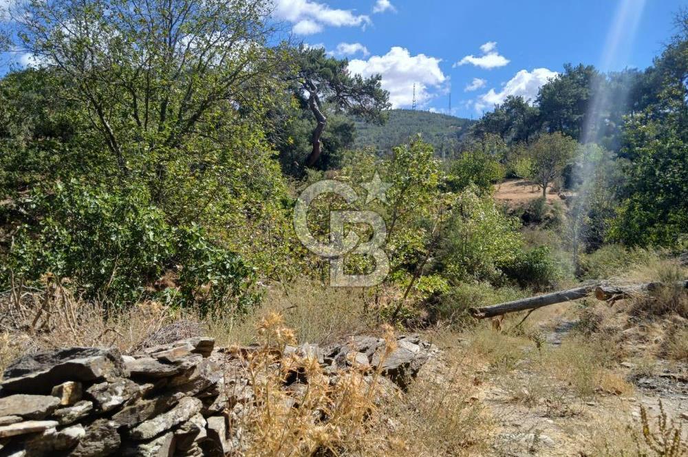 İzmir / Bayındır Kızılcaağaç'ta Satılık Özel Konumlu Bahçe