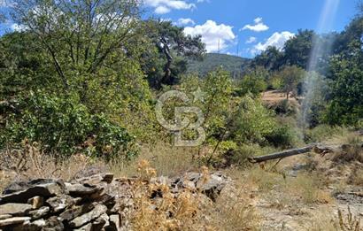 İzmir / Bayındır Kızılcaağaç'ta Satılık Özel Konumlu Bahçe