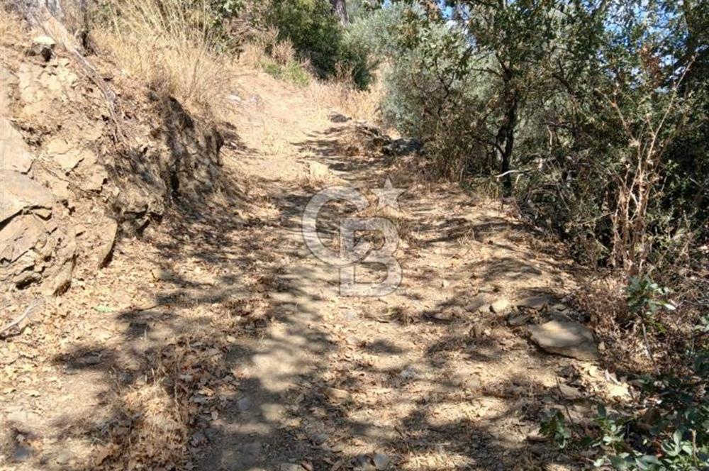 İzmir / Bayındır Kızılcaağaç'ta Satılık Özel Konumlu Bahçe