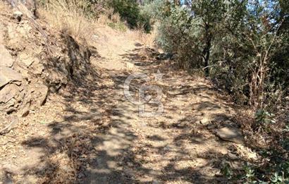 İzmir / Bayındır Kızılcaağaç'ta Satılık Özel Konumlu Bahçe