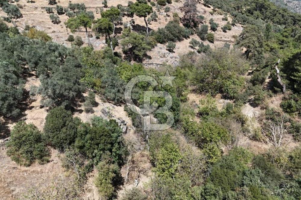 İzmir / Bayındır Kızılcaağaç'ta Satılık Özel Konumlu Bahçe