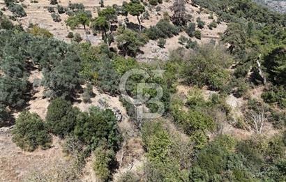 İzmir / Bayındır Kızılcaağaç'ta Satılık Özel Konumlu Bahçe