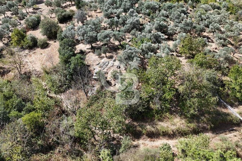 İzmir / Bayındır Kızılcaağaç'ta Satılık Özel Konumlu Bahçe