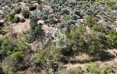 İzmir / Bayındır Kızılcaağaç'ta Satılık Özel Konumlu Bahçe