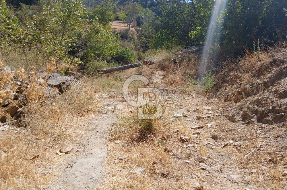 İzmir / Bayındır Kızılcaağaç'ta Satılık Özel Konumlu Bahçe