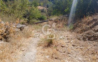 İzmir / Bayındır Kızılcaağaç'ta Satılık Özel Konumlu Bahçe