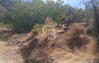 İzmir / Bayındır Kızılcaağaç'ta Satılık Özel Konumlu Bahçe
