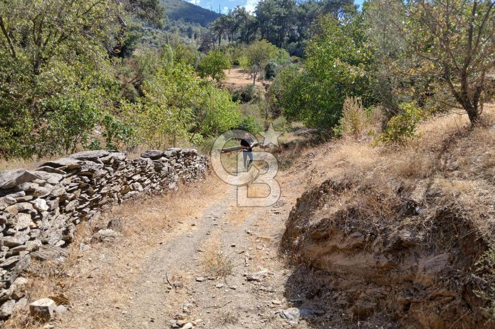 İzmir / Bayındır Kızılcaağaç'ta Satılık Özel Konumlu Bahçe