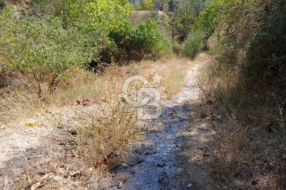 İzmir / Bayındır Kızılcaağaç'ta Satılık Özel Konumlu Bahçe