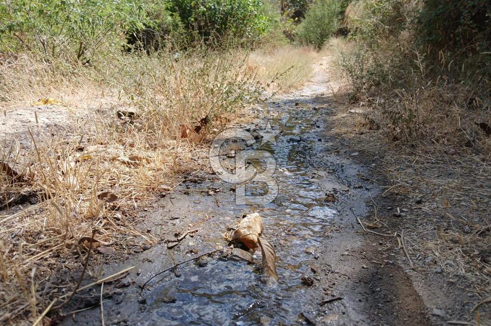 İzmir / Bayındır Kızılcaağaç'ta Satılık Özel Konumlu Bahçe