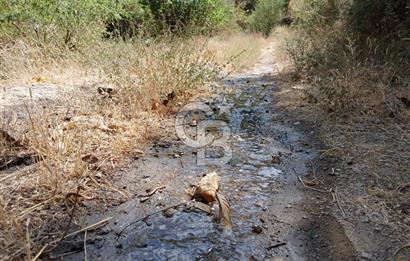 İzmir / Bayındır Kızılcaağaç'ta Satılık Özel Konumlu Bahçe