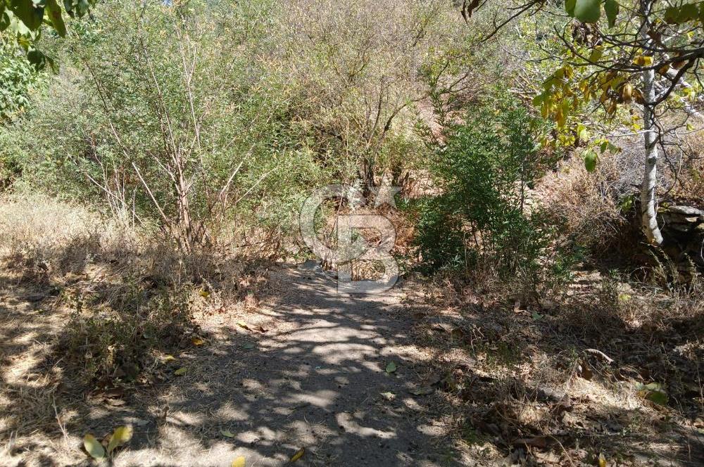 İzmir / Bayındır Kızılcaağaç'ta Satılık Özel Konumlu Bahçe