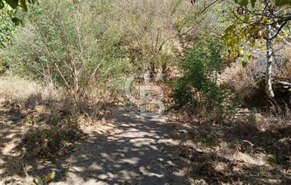 İzmir / Bayındır Kızılcaağaç'ta Satılık Özel Konumlu Bahçe