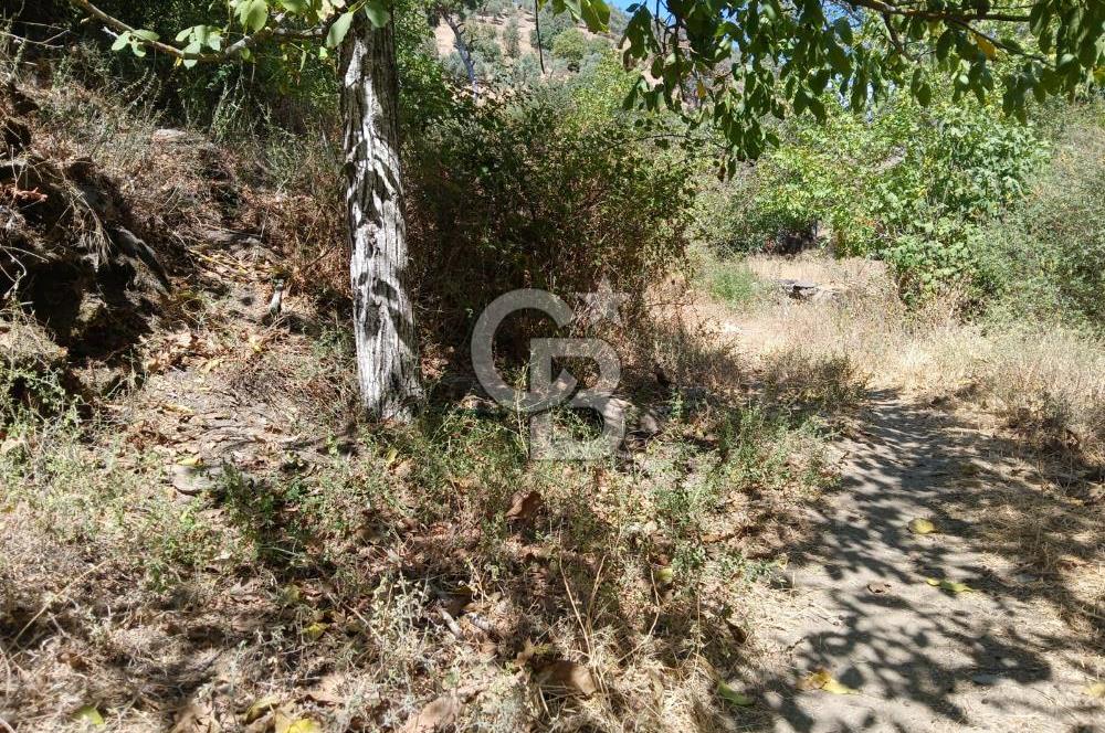 İzmir / Bayındır Kızılcaağaç'ta Satılık Özel Konumlu Bahçe