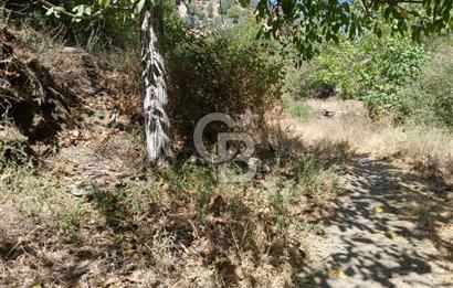 İzmir / Bayındır Kızılcaağaç'ta Satılık Özel Konumlu Bahçe