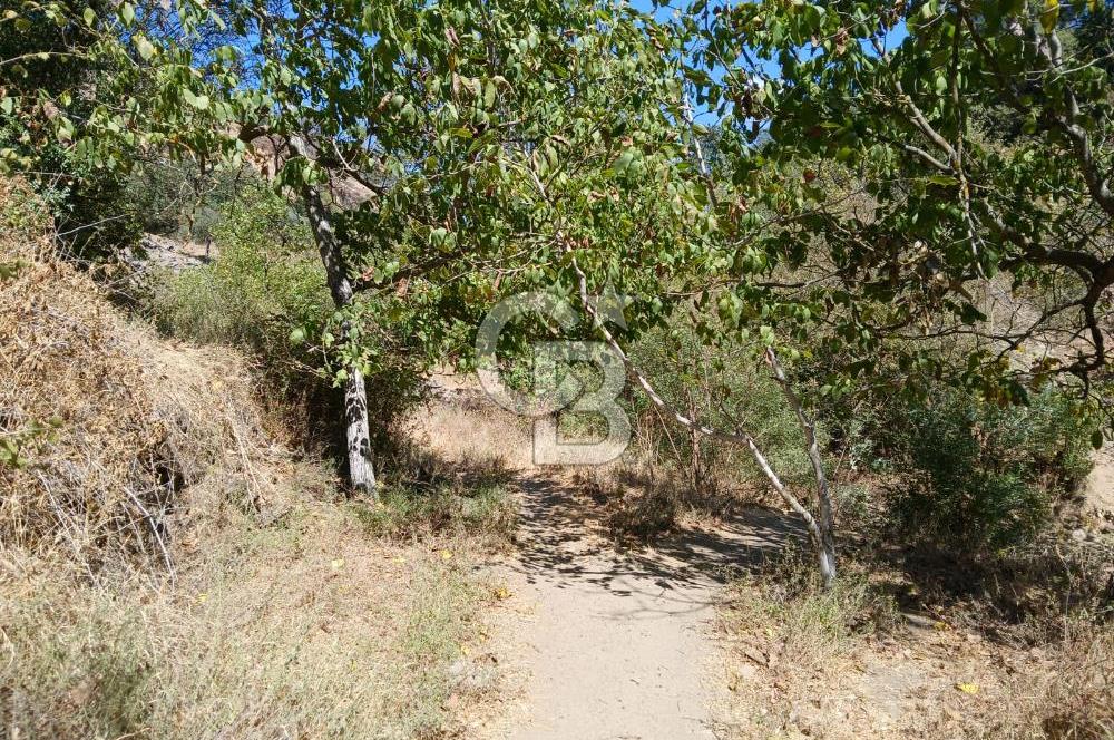 İzmir / Bayındır Kızılcaağaç'ta Satılık Özel Konumlu Bahçe