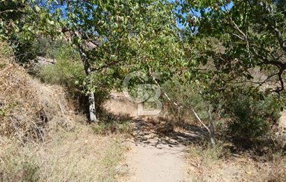 İzmir / Bayındır Kızılcaağaç'ta Satılık Özel Konumlu Bahçe