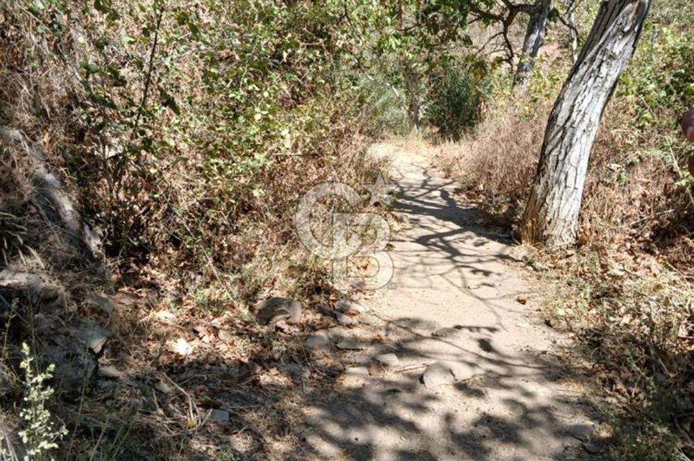 İzmir / Bayındır Kızılcaağaç'ta Satılık Özel Konumlu Bahçe