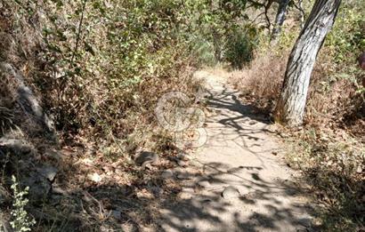 İzmir / Bayındır Kızılcaağaç'ta Satılık Özel Konumlu Bahçe