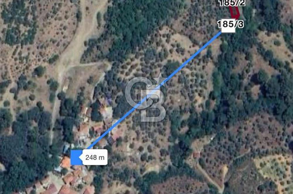 İzmir / Bayındır Kızılcaağaç'ta Satılık Özel Konumlu Bahçe