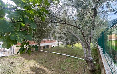 CB KiNG DEN ALTINOLUKDA DENİZ MANZARALI SATILIK 3+1 DAİRE