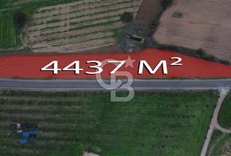 Çanakkale Ezine Yahyaçavus Köyü 4.437 M2 Satılık Tarla ! - 2 - 313124