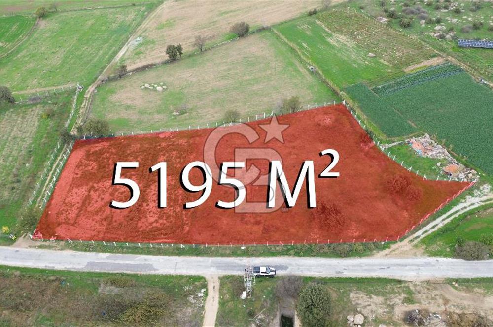 Çanakkale Ezine Uluköy 5195 M2 Satılık Tarla!