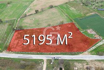 Çanakkale Ezine Uluköy 5195 M2 Satılık Tarla! - 8 - 313114