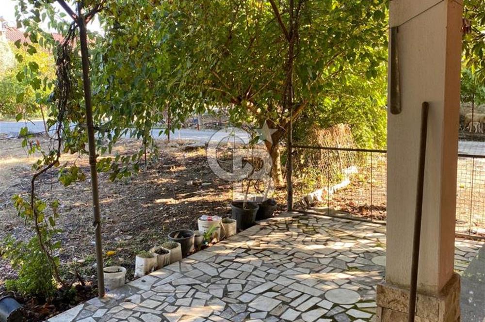 KÖY HAYATI İSTEYENLERE