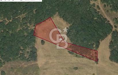 Balıkesir Kepsut Örenli Mevkiinde 2.552 m² Arsa
