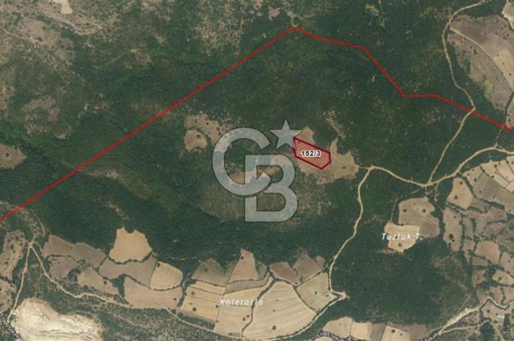 Balıkesir Kepsut Örenli'de 6.432 m² Yatırım Değeri Yüksek Arsa