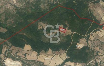 Balıkesir Kepsut Örenli'de 6.432 m² Yatırım Değeri Yüksek Arsa
