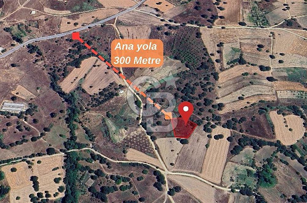 Gelişen Bölge, Değer Kazanan Tarla  | Orhaneli – Argın