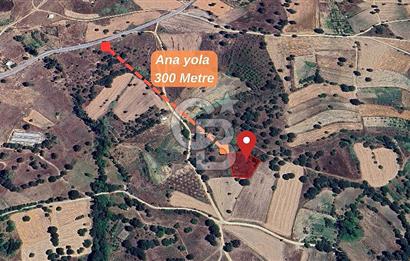 Gelişen Bölge, Değer Kazanan Tarla  | Orhaneli – Argın